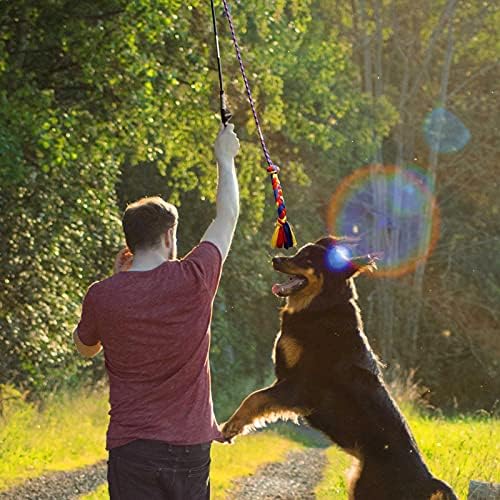 YINOR Flört Pole-Kutyák számára-Interaktív Csalik Tartós Kötelet,Chase Kötélhúzás Kiskutya Játék，Kerti