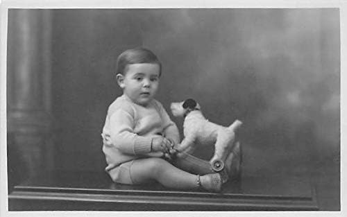 Az emberek, a Gyerekek Lefényképezték a Képeslap, Régi, Vintage Antik képeslap Kis gyermek, a kutya fel