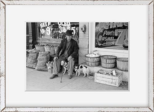 VÉGTELEN FÉNYKÉPEK, Fotó: Férfi,a Kutyák Előtt, Élelmiszerbolt,Robinson,Illinois,Lehet, hogy 1940-ben,IL,John